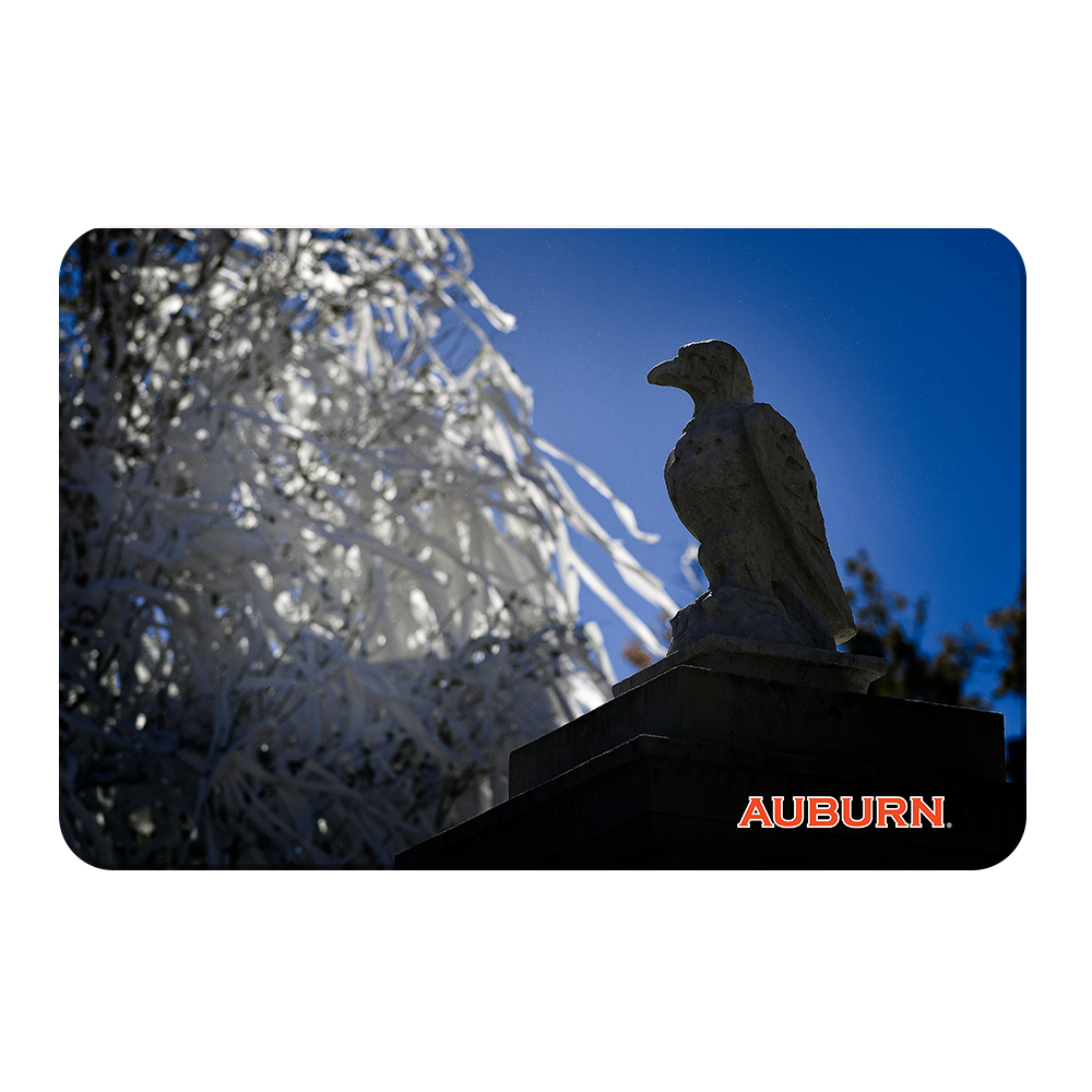 Auburn Tigers - Watchful Eye Toomers - College Wall Art#Canvas