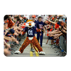 Auburn Tigers - Aubie at the Tiger Walk - College Wall Art #PVC