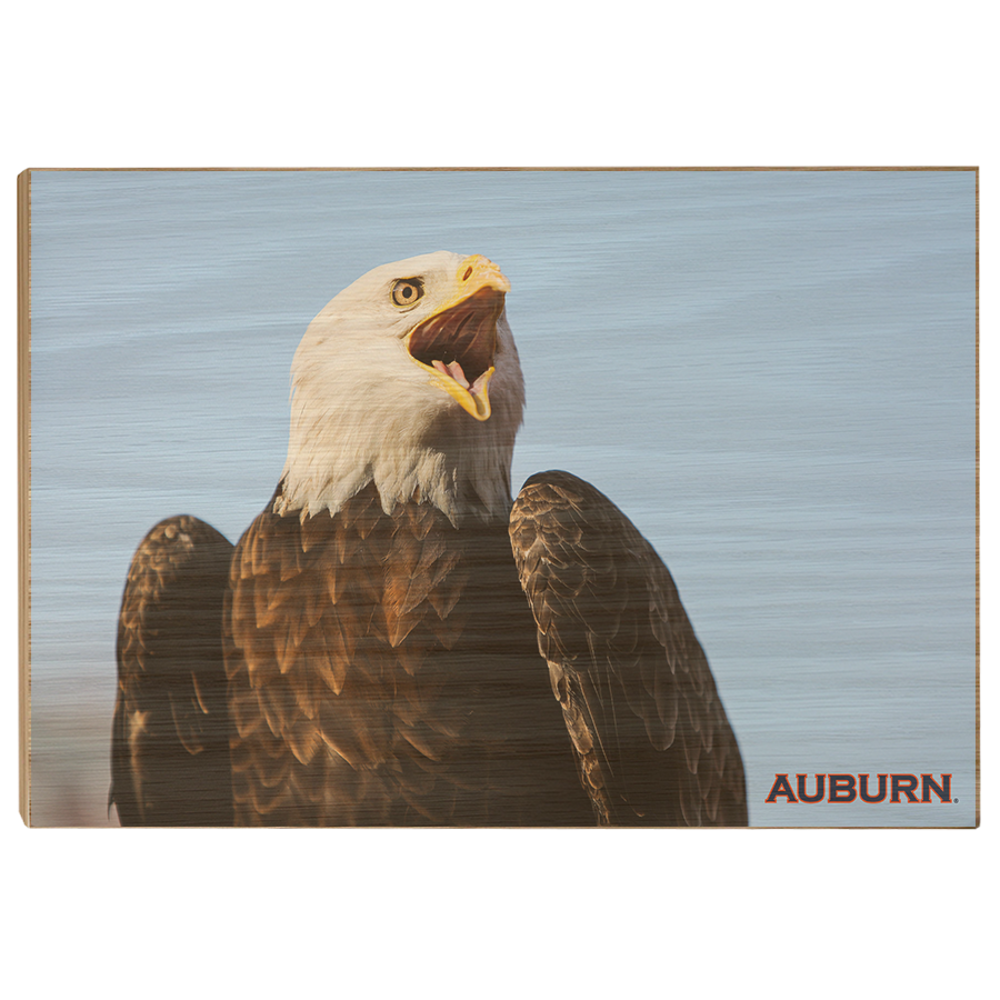 Auburn Tigers - War Eagle - College Wall Art#Canvas