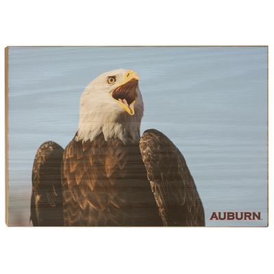 Auburn Tigers - War Eagle - College Wall Art#Wood