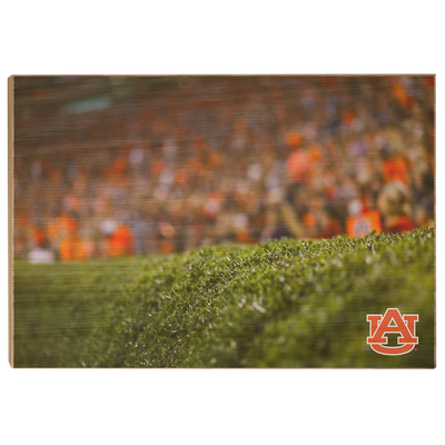 Auburn Tigers - The Hedges - College Wall Art#Wood