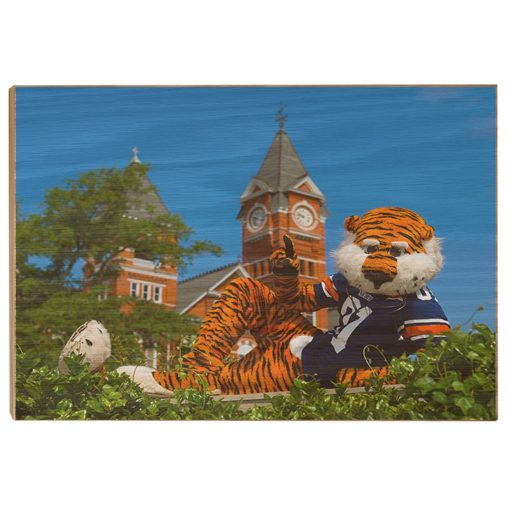 Auburn Tigers - Aubie - College Wall Art#Canvas
