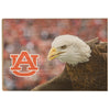 Auburn Tigers - War Eagle Up Close - College Wall Art#Wood