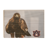 Auburn Tigers - War Eagle - College Wall Art#Wood