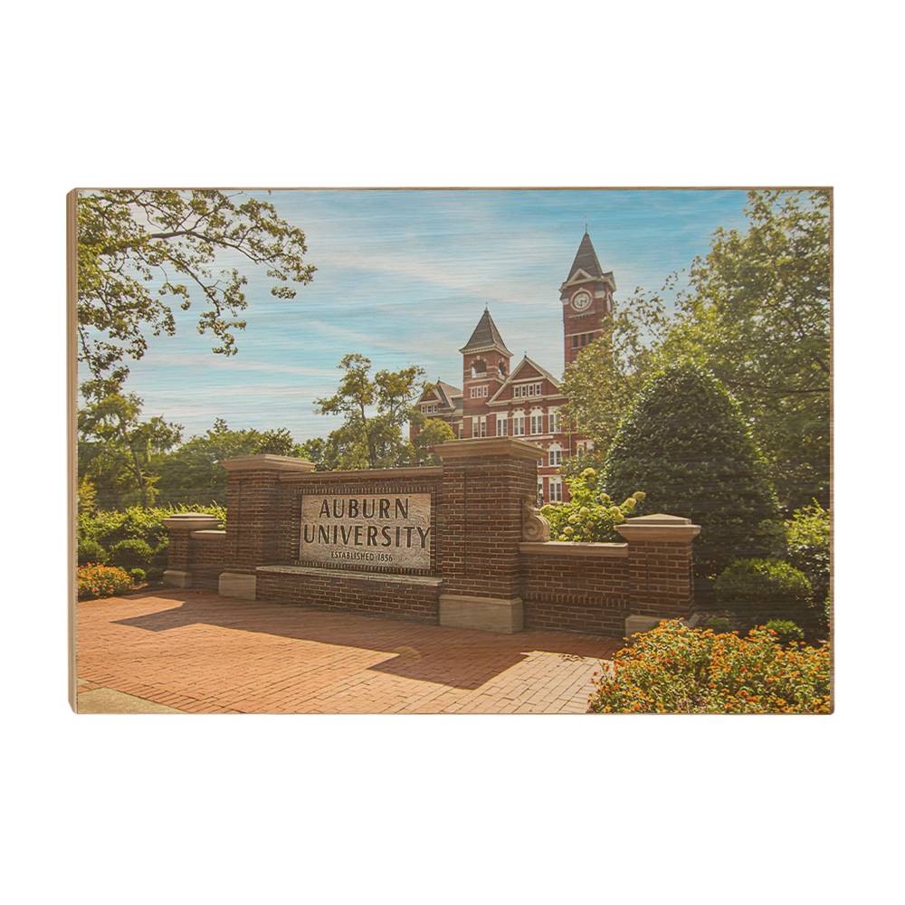 Auburn Tigers - Auburn University - College Wall Art #Canvas