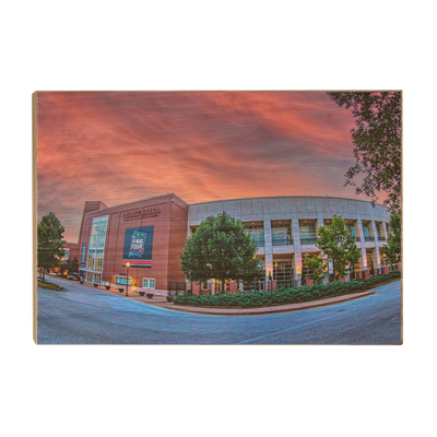 Auburn Tigers - Auburn Arena - College Wall Art #Wood