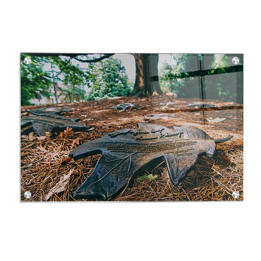 Clemson Tigers - The Fort Hill Legacy - College Wall Art #Canvas