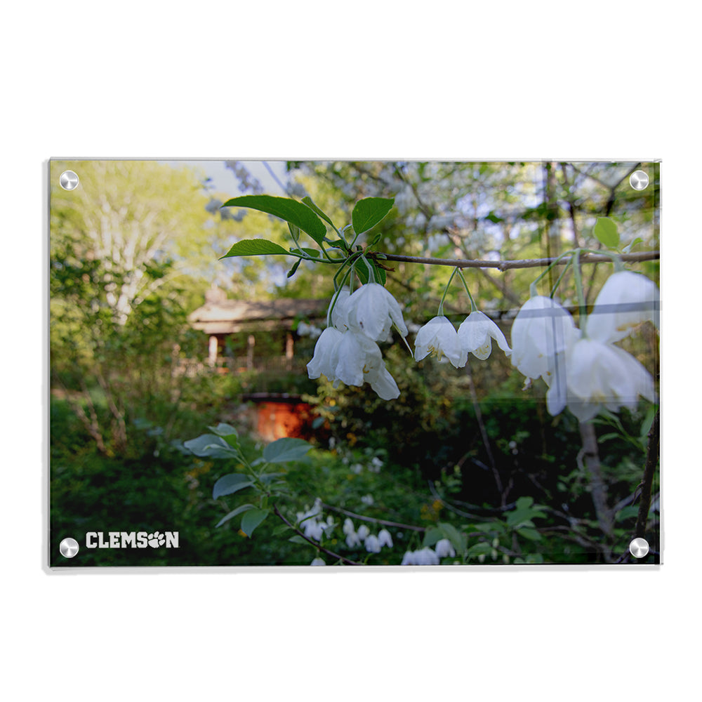 Clemson Tigers - Clemson History - College Wall Art #Canvas