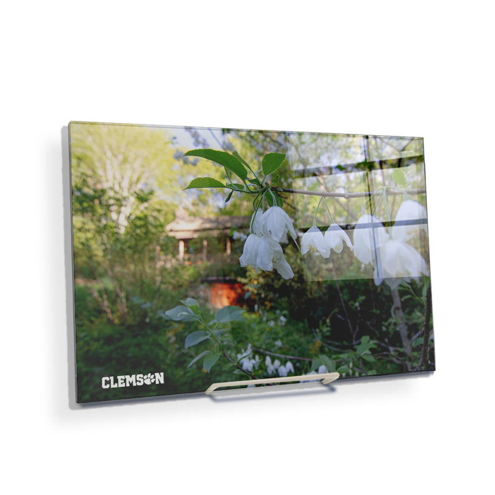 Clemson Tigers - Clemson History - College Wall Art #Canvas