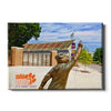 Clemson Tigers - Solid Orange - College Wall Art #Canvas