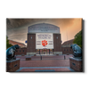 Clemson Tigers - Watchfull Eyes Sunset - College Wall Art #Canvas