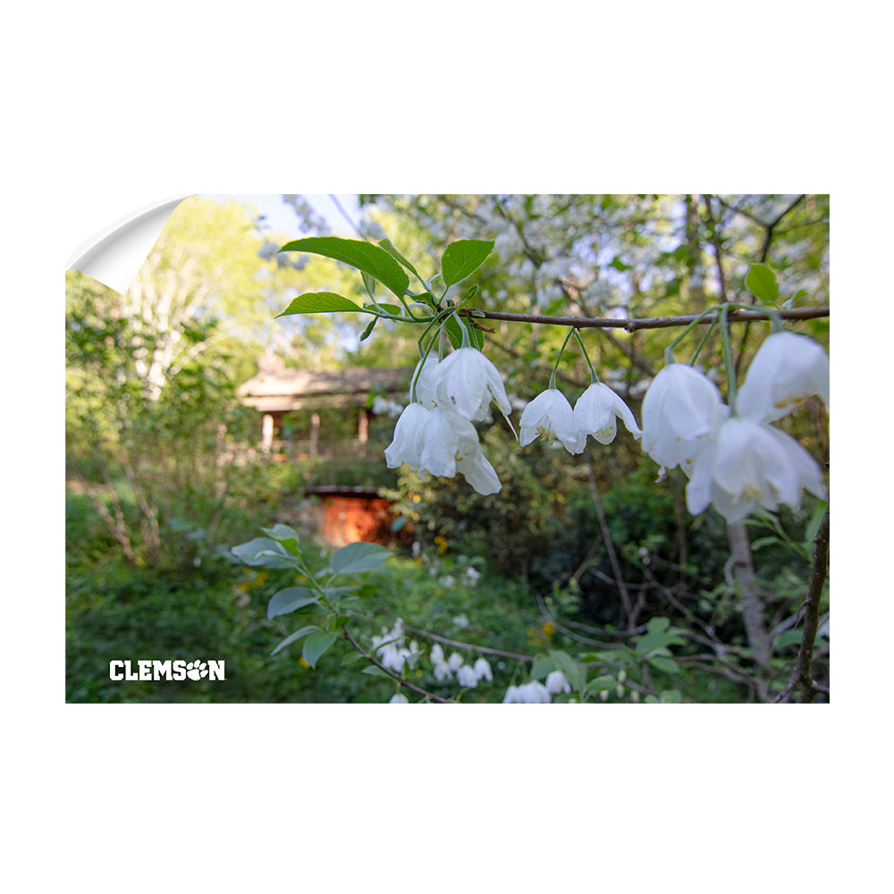 Clemson Tigers - Clemson History - College Wall Art #Canvas