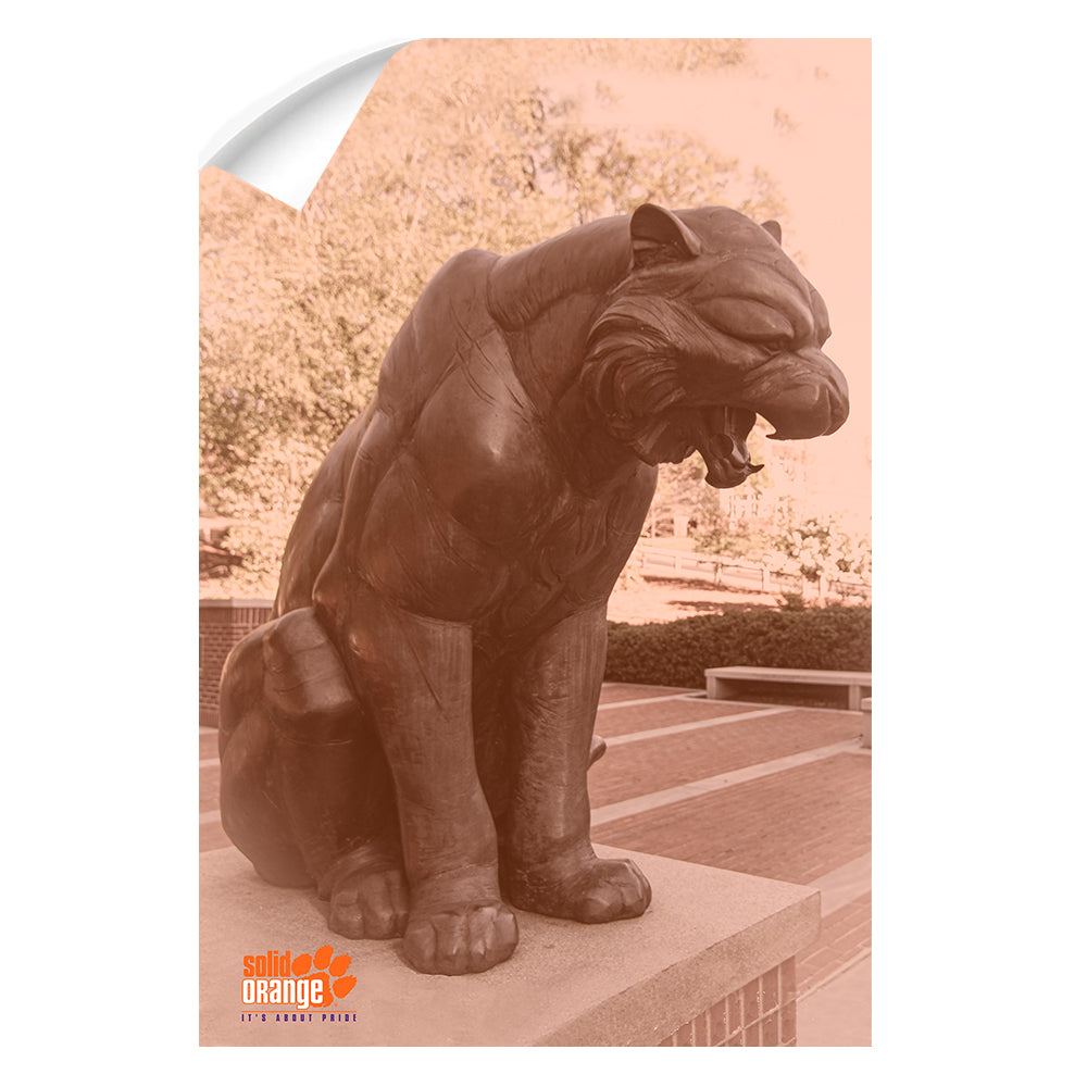 Clemson Tigers - More Solid Orange - College Wall Art #Canvas