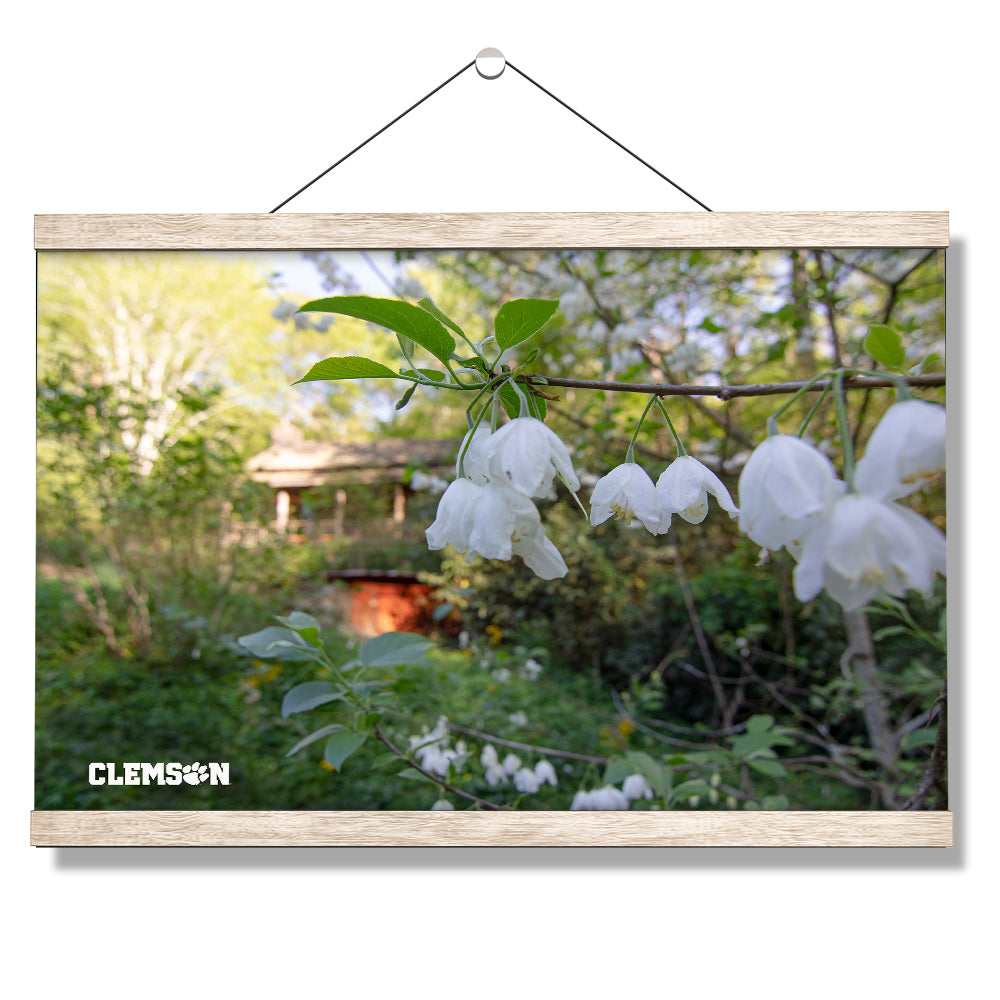 Clemson Tigers - Clemson History - College Wall Art #Canvas