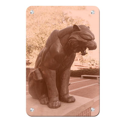 Clemson Tigers - More Solid Orange - College Wall Art #Metal