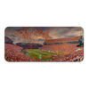 Clemson Tigers - Enter Clemson Pano - College Wall Art #PVC