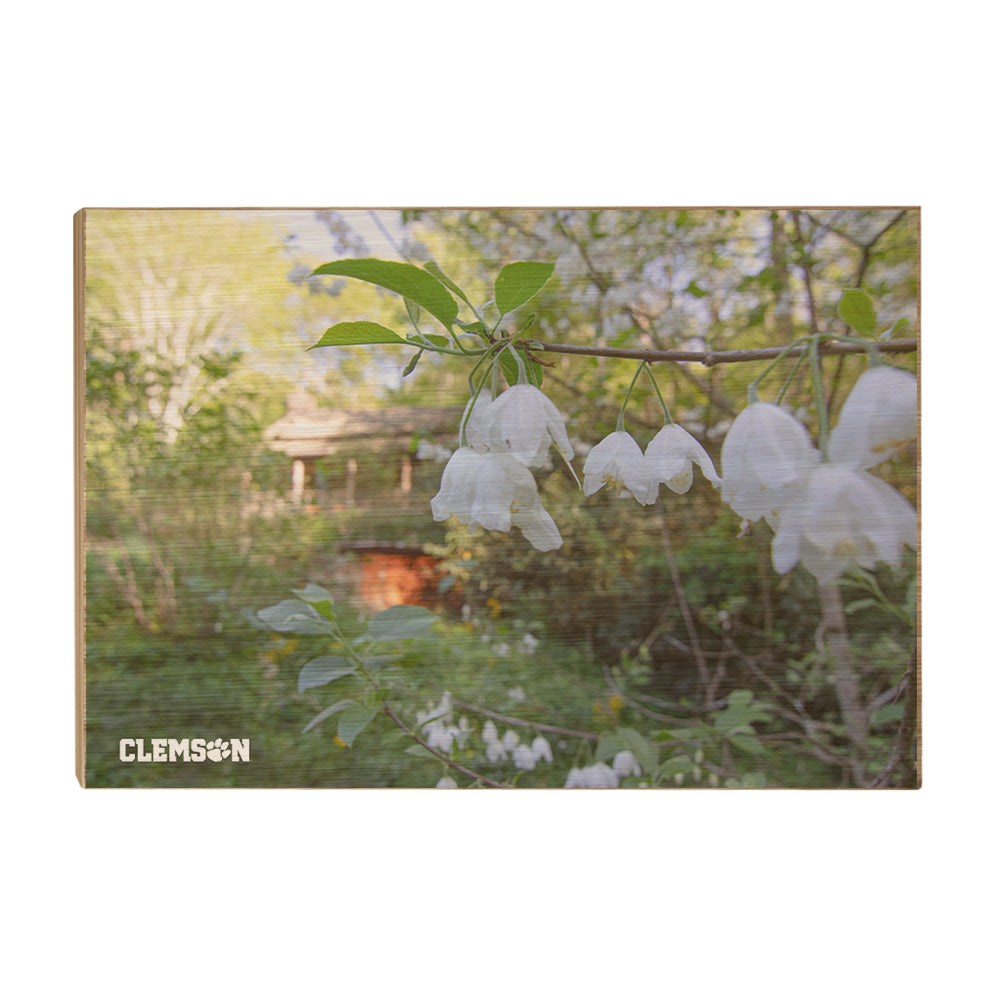 Clemson Tigers - Clemson History - College Wall Art #Canvas