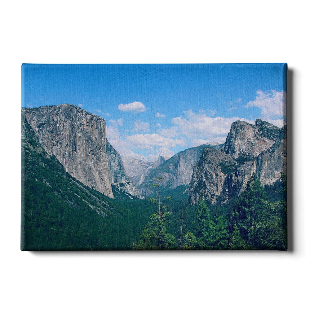 Yosemite - College Wall Art