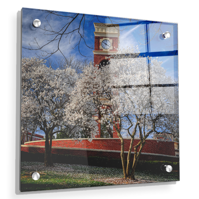 ETSU - Spring - College Wall Art #Acrylic