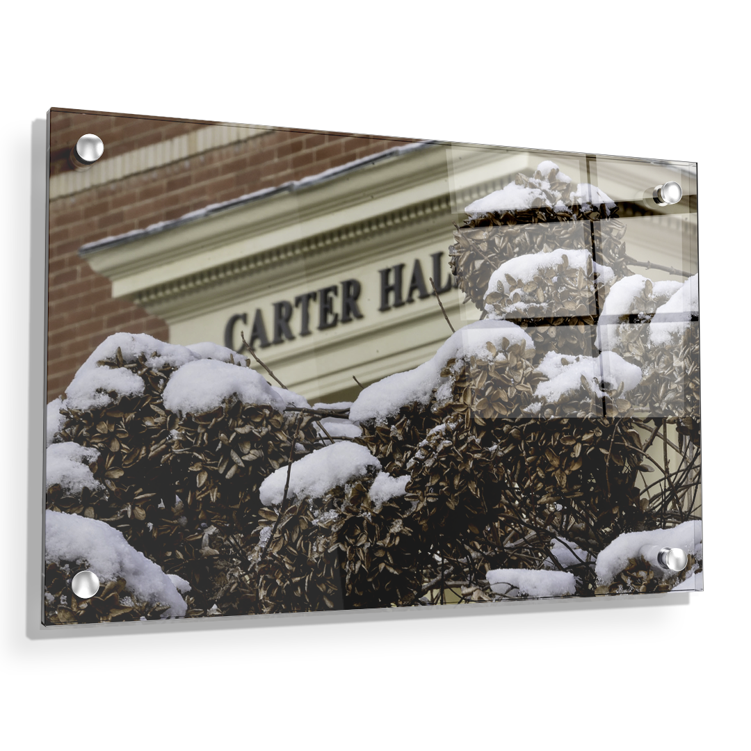 ETSU - Winter Carter Hall - College Wall Art #Canvas