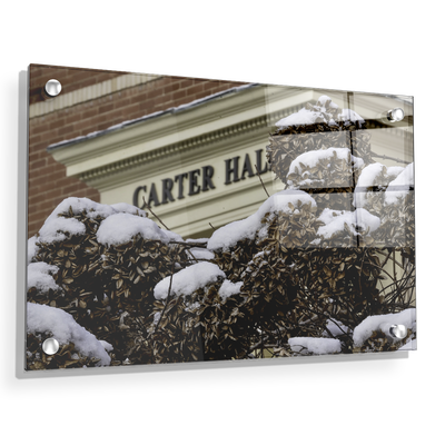 ETSU - Winter Carter Hall - College Wall Art#Acrylic