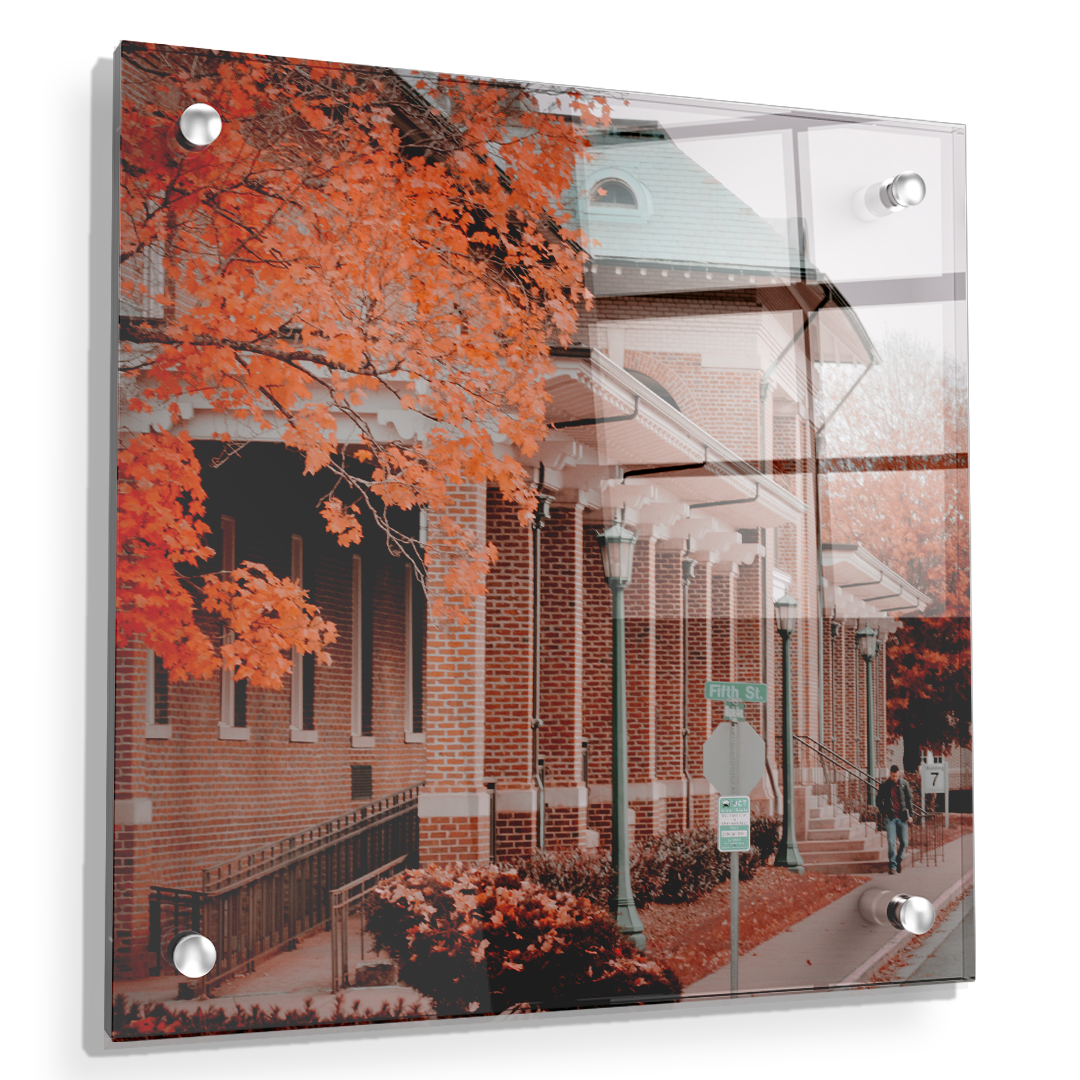 ETSU - Fall Bill Gatton School of Pharmacy - College Wall Art #Canvas