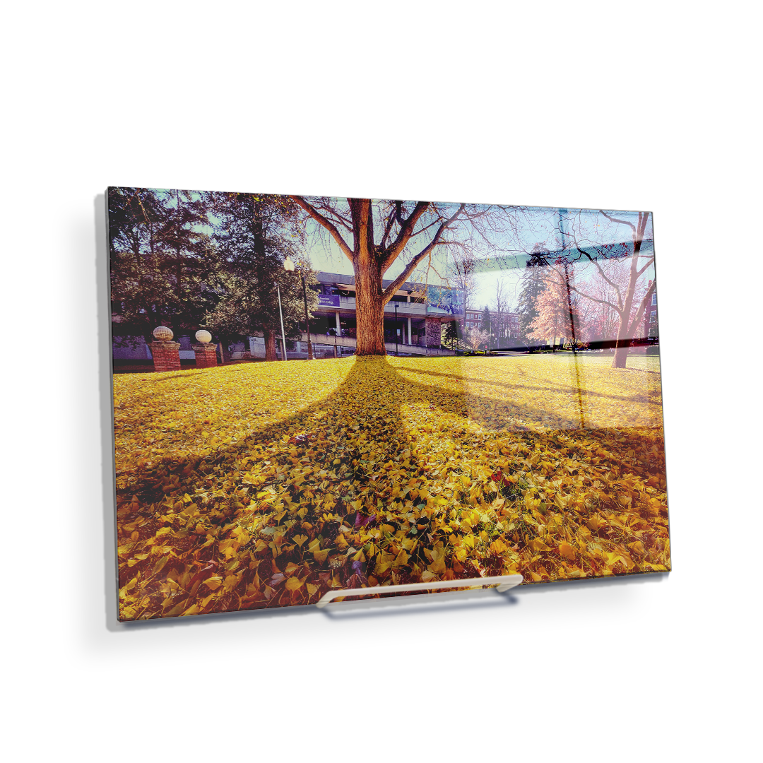 ETSU - Autumn Day - College Wall Art#Canvas
