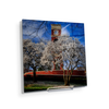 ETSU - Spring - College Wall Art #Acrylic Mini