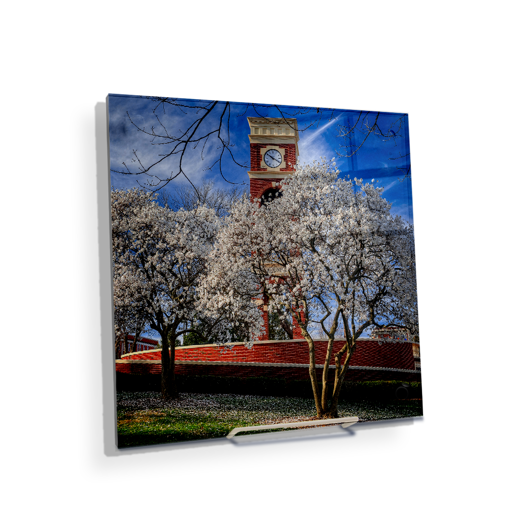 ETSU - Spring - College Wall Art #Canvas