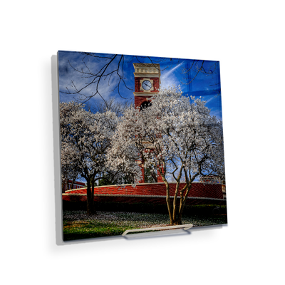 ETSU - Spring - College Wall Art #Acrylic Mini