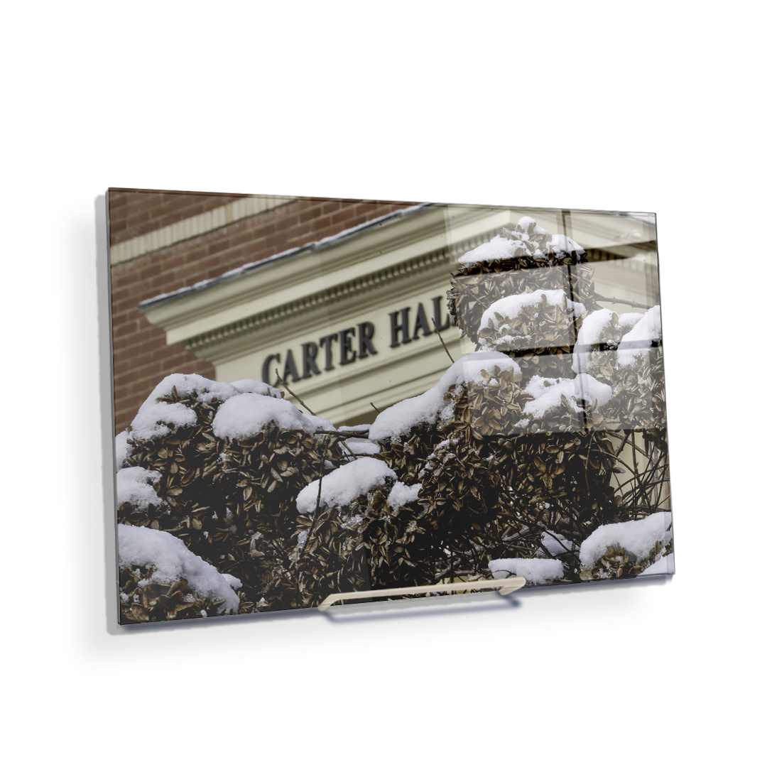 ETSU - Winter Carter Hall - College Wall Art #Canvas