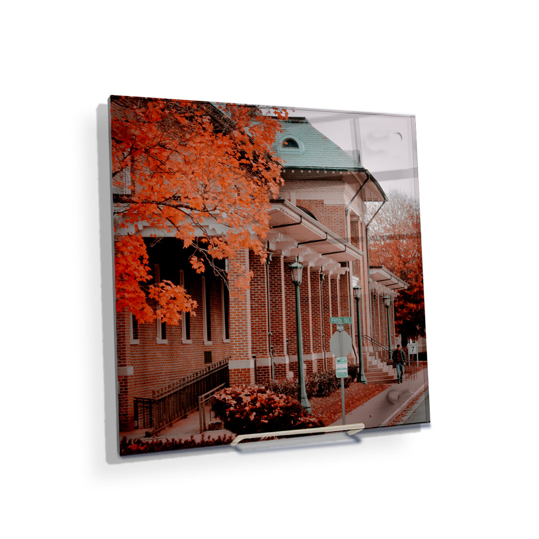 ETSU - Fall Bill Gatton School of Pharmacy - College Wall Art #Canvas