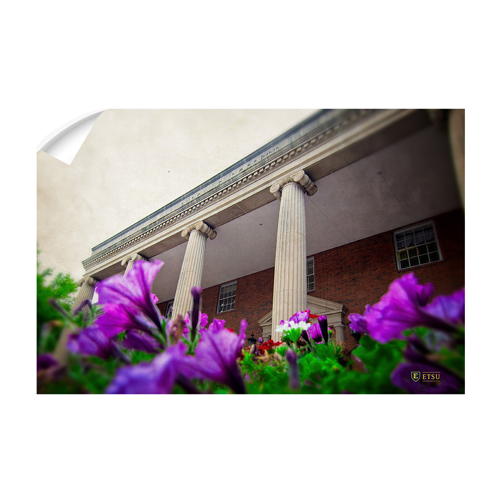 ETSU - Burgin Dossett Petunias - College Wall Art#Canvas