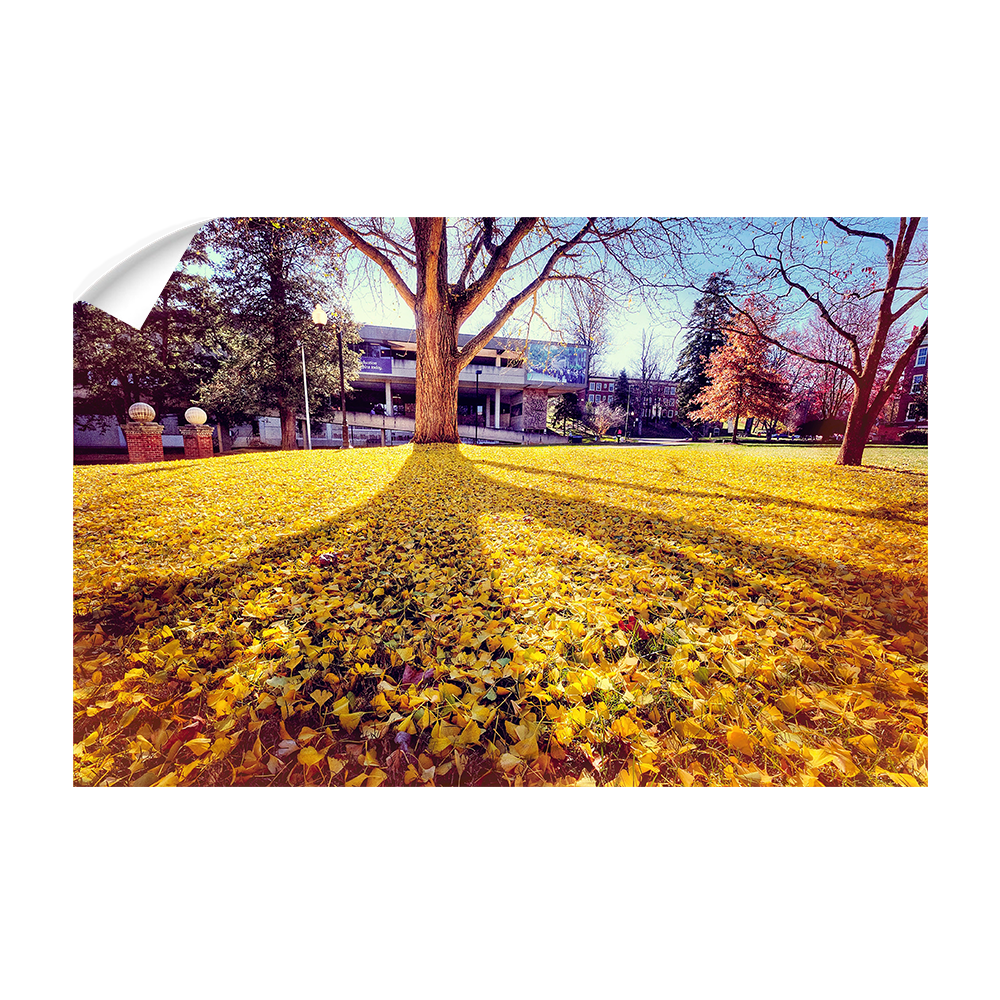 ETSU - Autumn Day - College Wall Art#Canvas