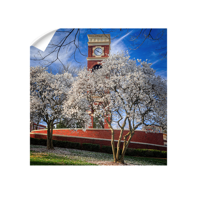 ETSU - Spring - College Wall Art #Wall Decal