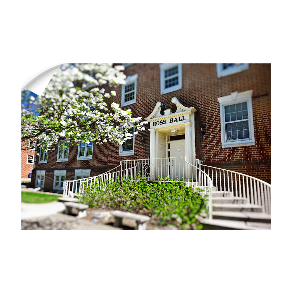 ETSU - Ross Hall - College Wall Art #Canvas