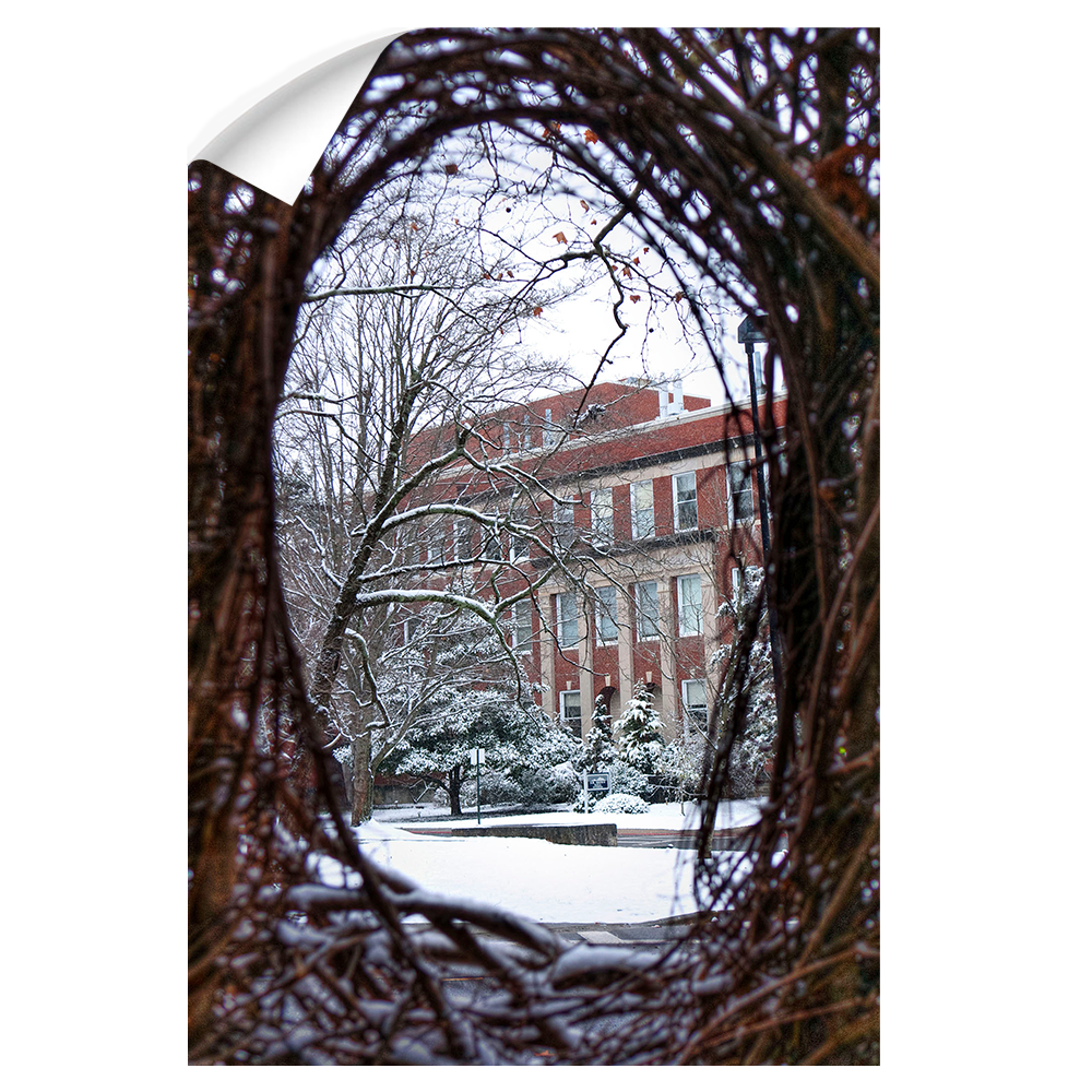 ETSU - Winter View - College Wall Art #Canvas