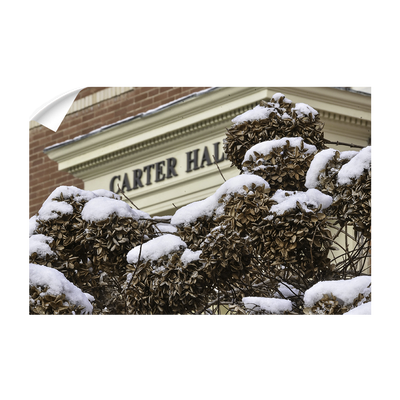 ETSU - Winter Carter Hall - College Wall Art#Wall Decal