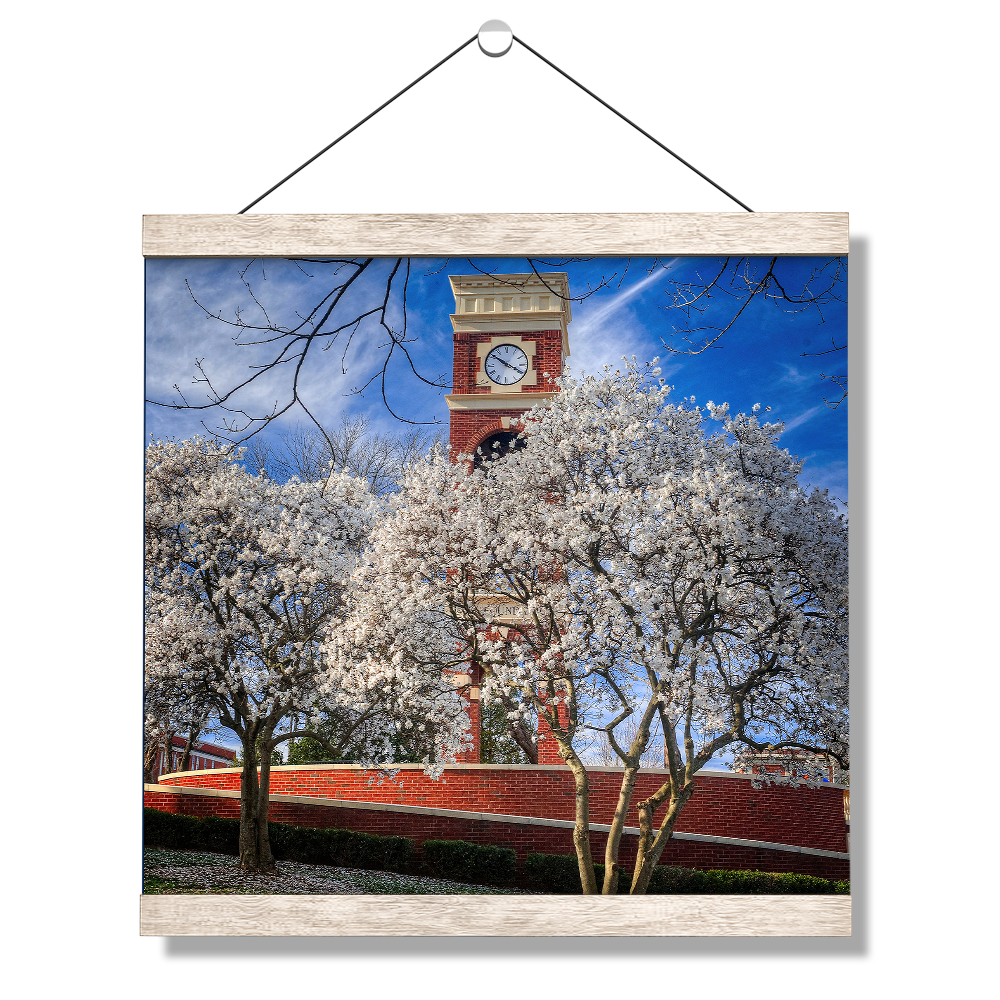 ETSU - Spring - College Wall Art #Canvas