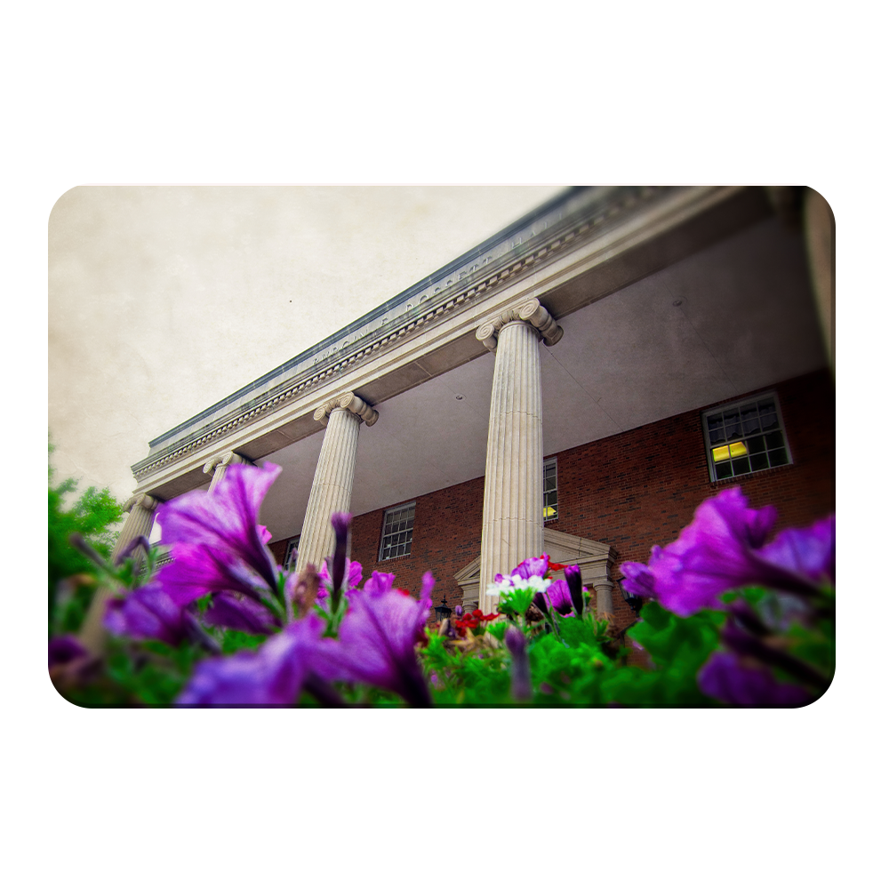 ETSU - Burgin Dossett Petunias - College Wall Art#Canvas