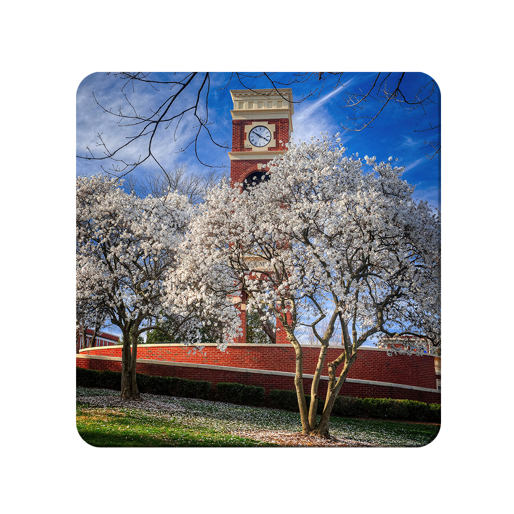 ETSU - Spring - College Wall Art #Canvas