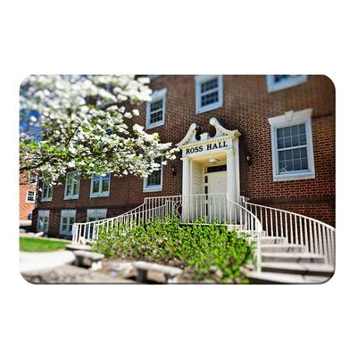 ETSU - Ross Hall - College Wall Art#PVC