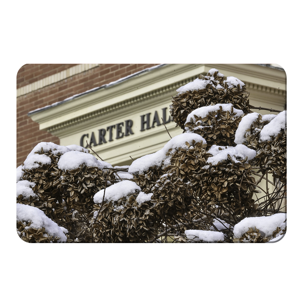 ETSU - Winter Carter Hall - College Wall Art #Canvas