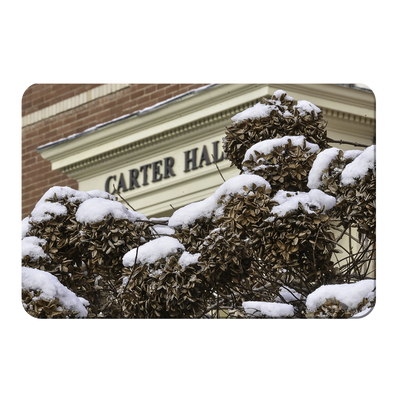 ETSU - Winter Carter Hall - College Wall Art#PVC