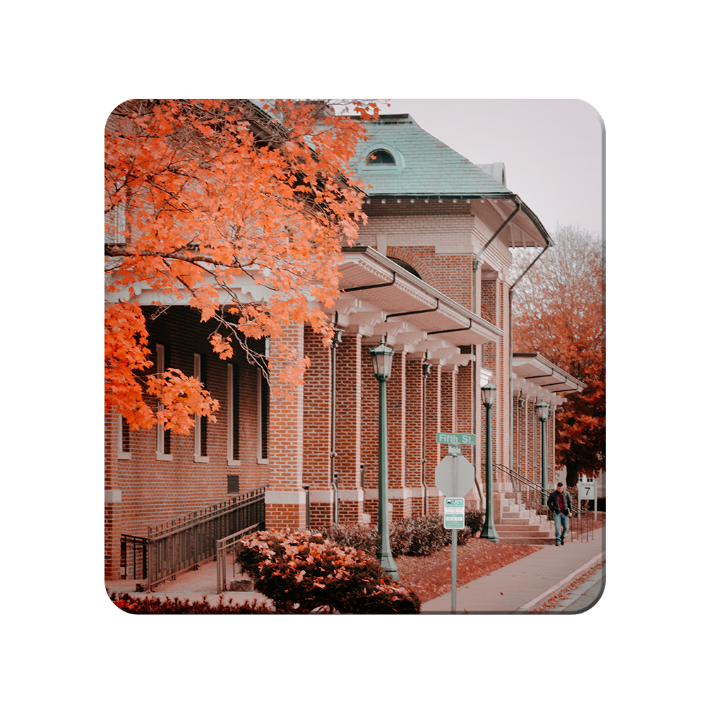 ETSU - Fall Bill Gatton School of Pharmacy - College Wall Art #Canvas