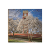 ETSU - Spring - College Wall Art #Wood