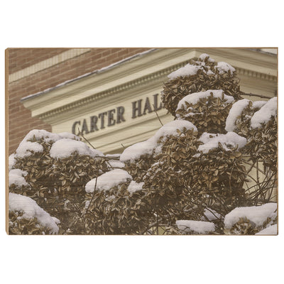 ETSU - Winter Carter Hall - College Wall Art #Wood