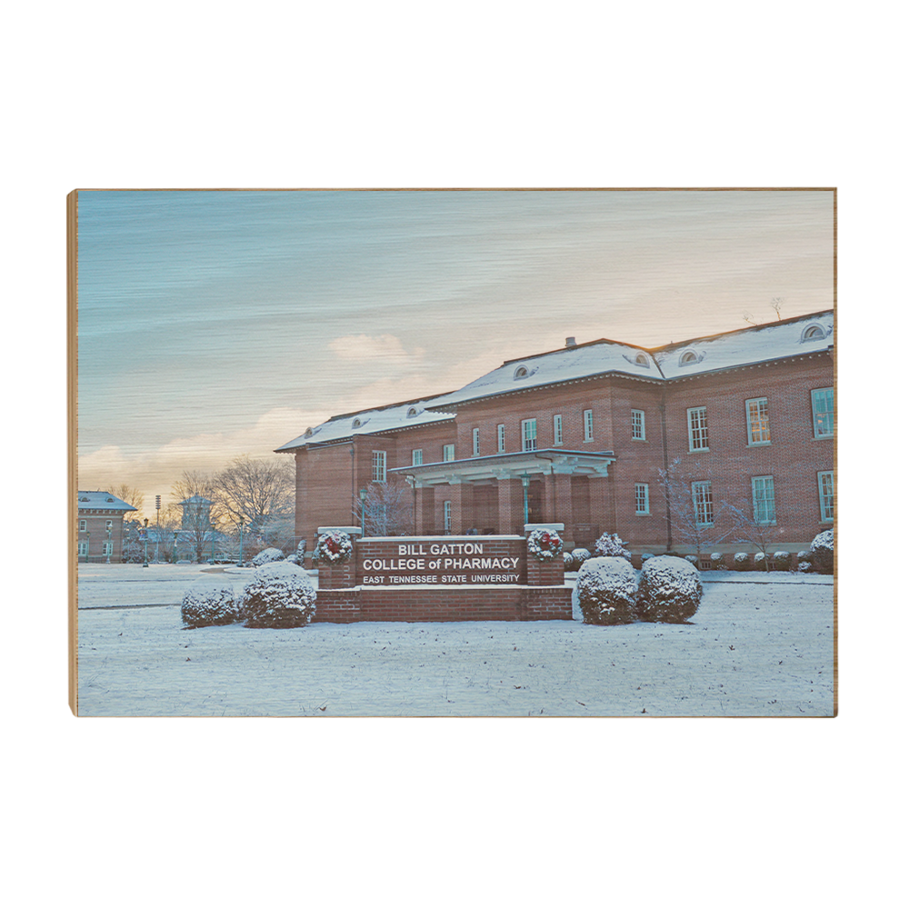 ETSU - Bill Gatton College of Pharmacy Winter - College Wall Art #Canvas