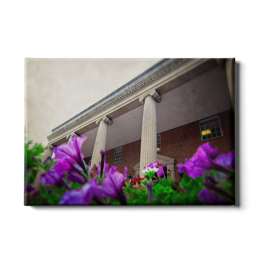 ETSU - Burgin Dossett Petunias - College Wall Art#Canvas