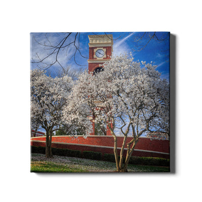 ETSU - Spring - College Wall Art #Canvas